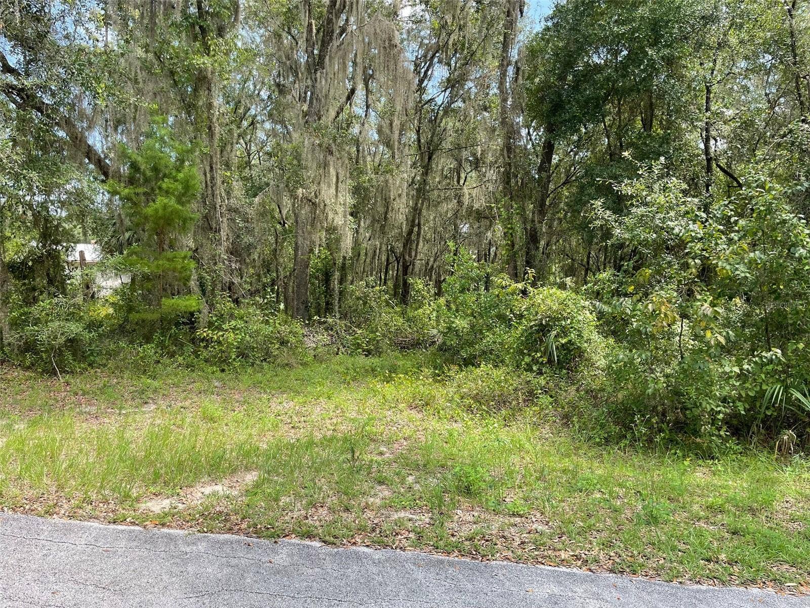 LOTS 15 & 16 SW SHOREWOOD DRIVE, Dunnellon, FL 34431