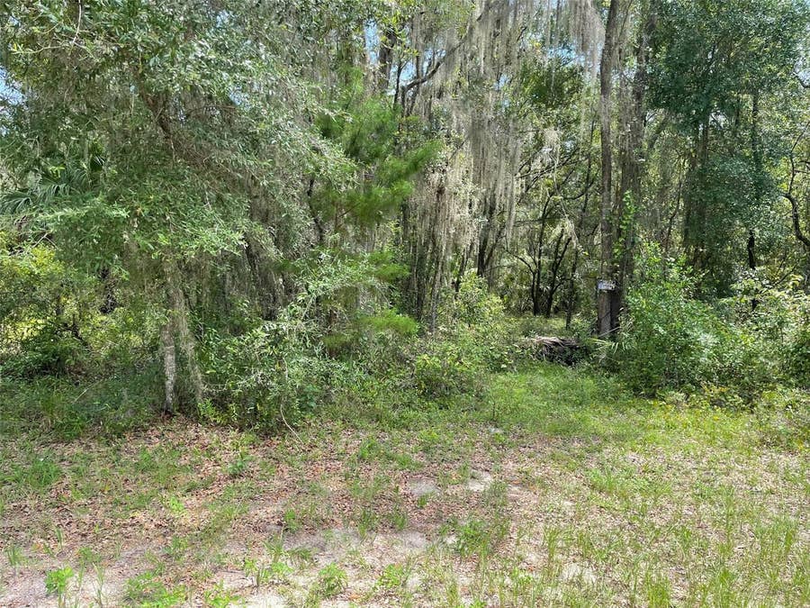 Property photo for LOTS 15 & 16 SW SHOREWOOD DRIVE, Dunnellon, FL