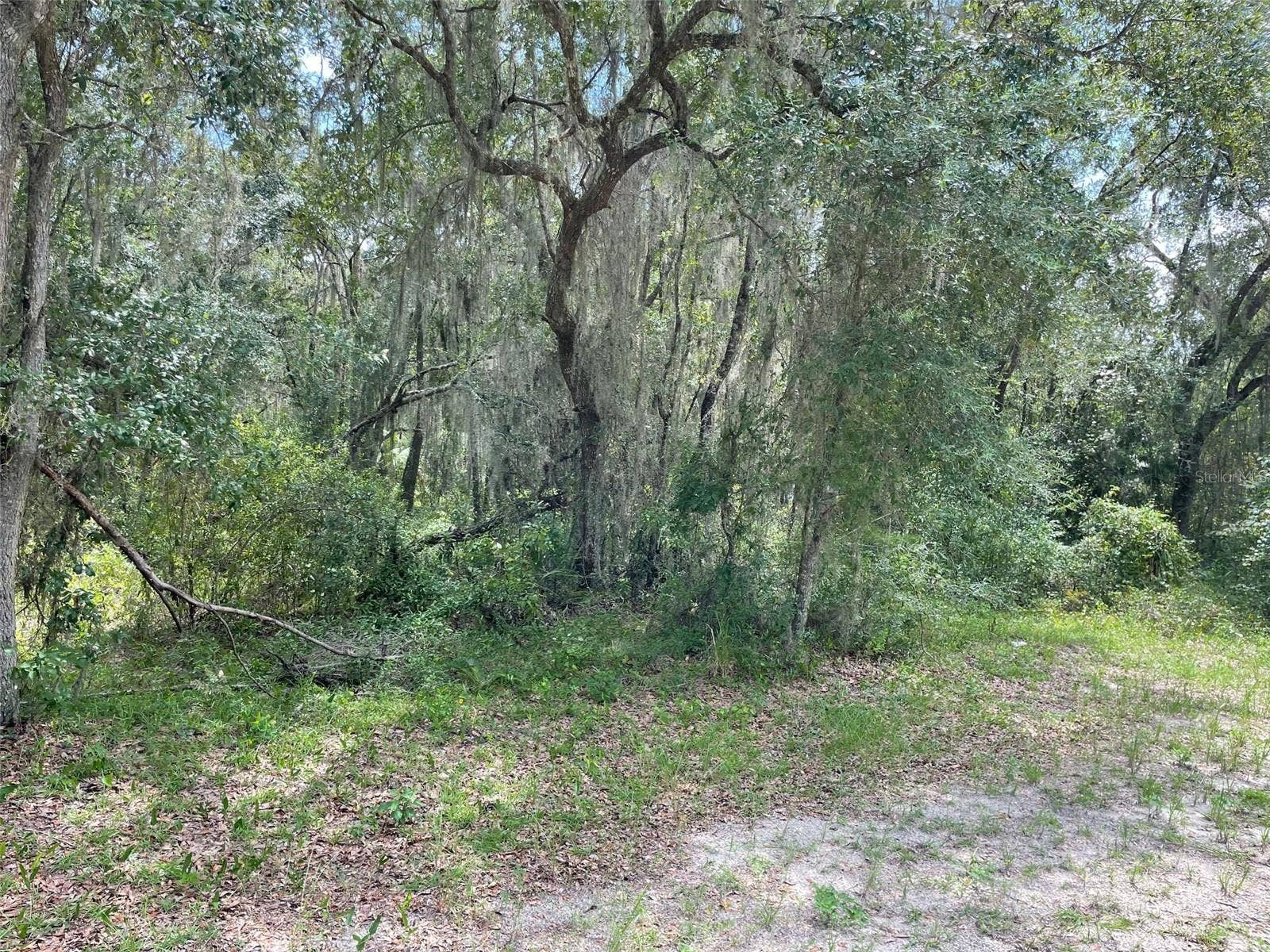 LOTS 15 & 16 SW SHOREWOOD DRIVE, Dunnellon, FL 34431
