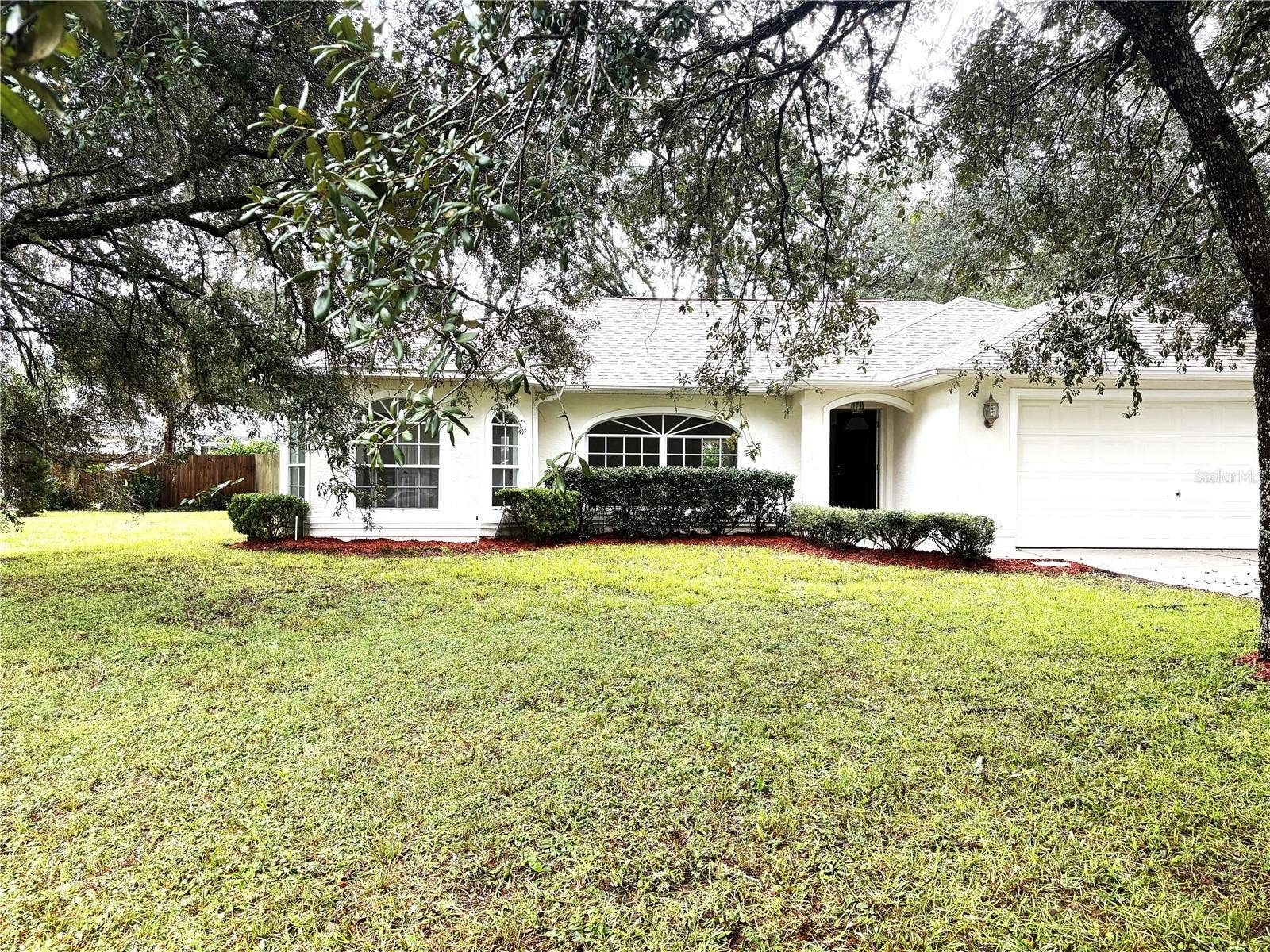 8919 N MENDOZA WAY, Citrus Springs, FL 34434 Side and front yards
