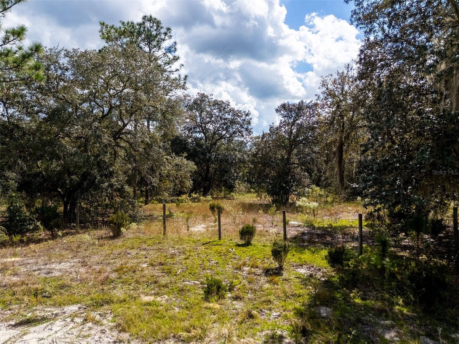 00 NE 78TH LANE, Bronson, FL 32621 00 NE 78TH LANE, Bronson, FL 32621