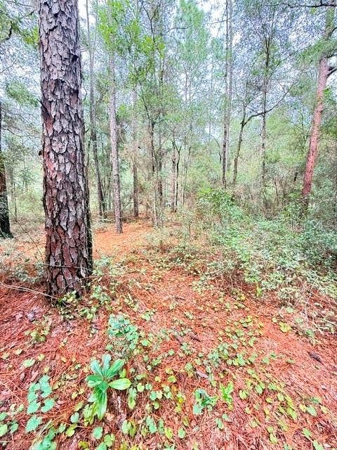 000 SW 10TH PL, Ocala, FL 34481