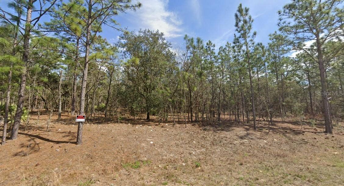 138TH TERRACE SW, Ocala, FL 34473