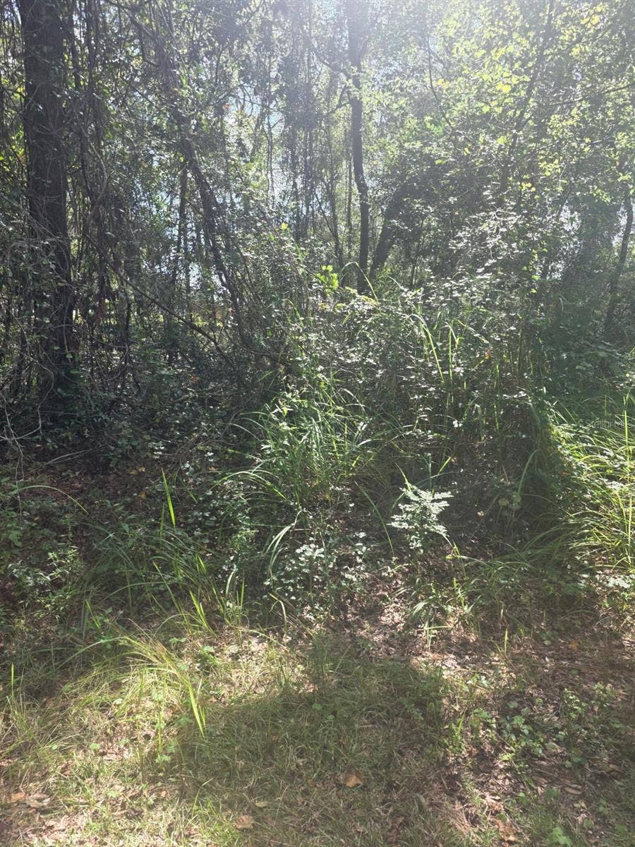TBD SE 136TH LANE, Belleview, FL 34420 TBD SE 136TH LANE, Belleview, FL 34420