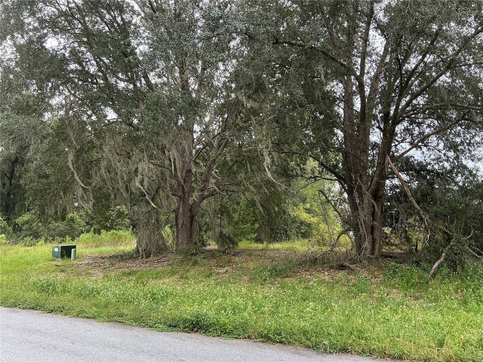169TH STREET, Ocala, FL 34473 169TH STREET, Ocala, FL 34473