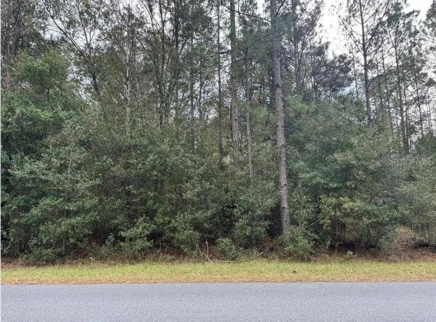 00 SW 36 AVENUE, Ocala, FL 34473