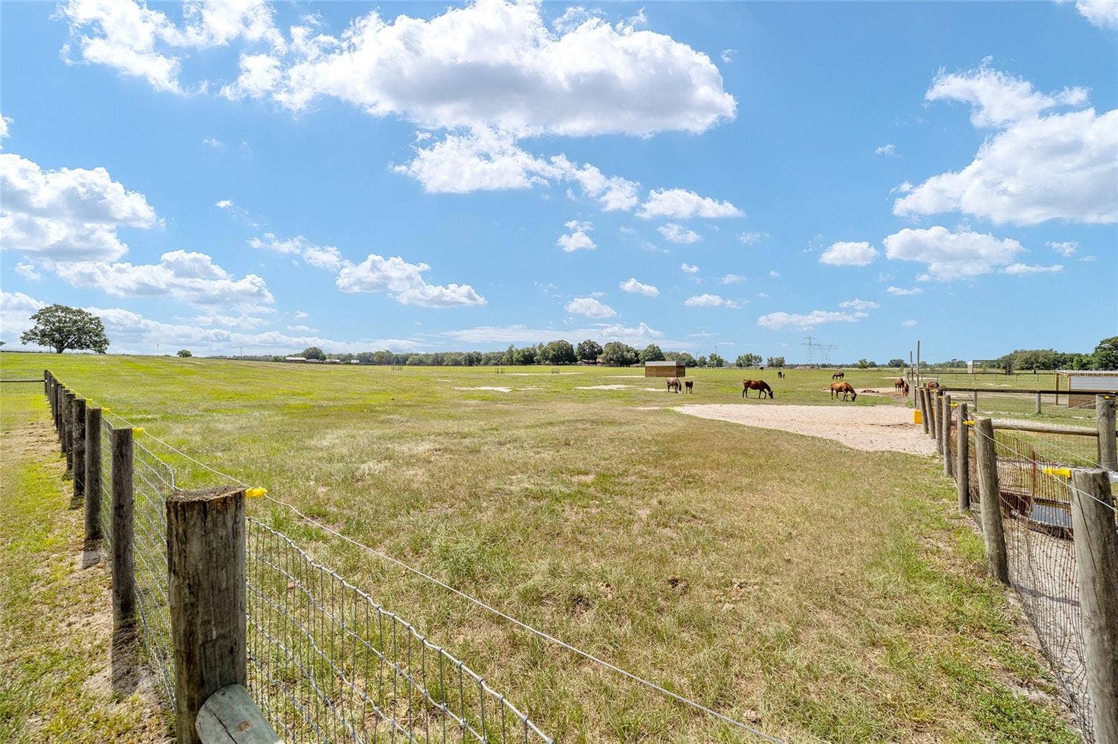 1177 NW 102ND BOULEVARD, #Option 1, Wildwood, FL 34785 1177 NW 102ND BOULEVARD, #Option 1, Wildwood, FL 34785