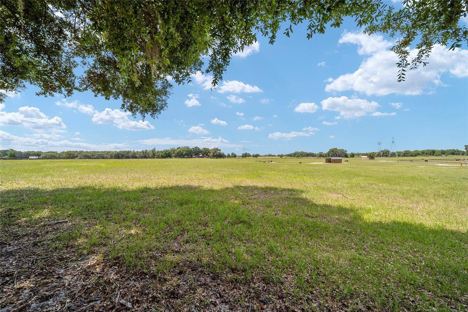 1177 NW 102ND BOULEVARD, #Option 1, Wildwood, FL 34785 1177 NW 102ND BOULEVARD, #Option 1, Wildwood, FL 34785