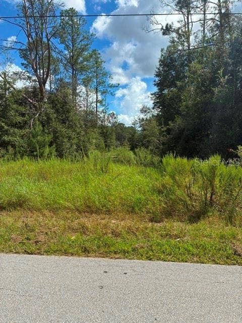 Property photo for 0 SW CARDINAL AVENUE, Dunnellon, FL