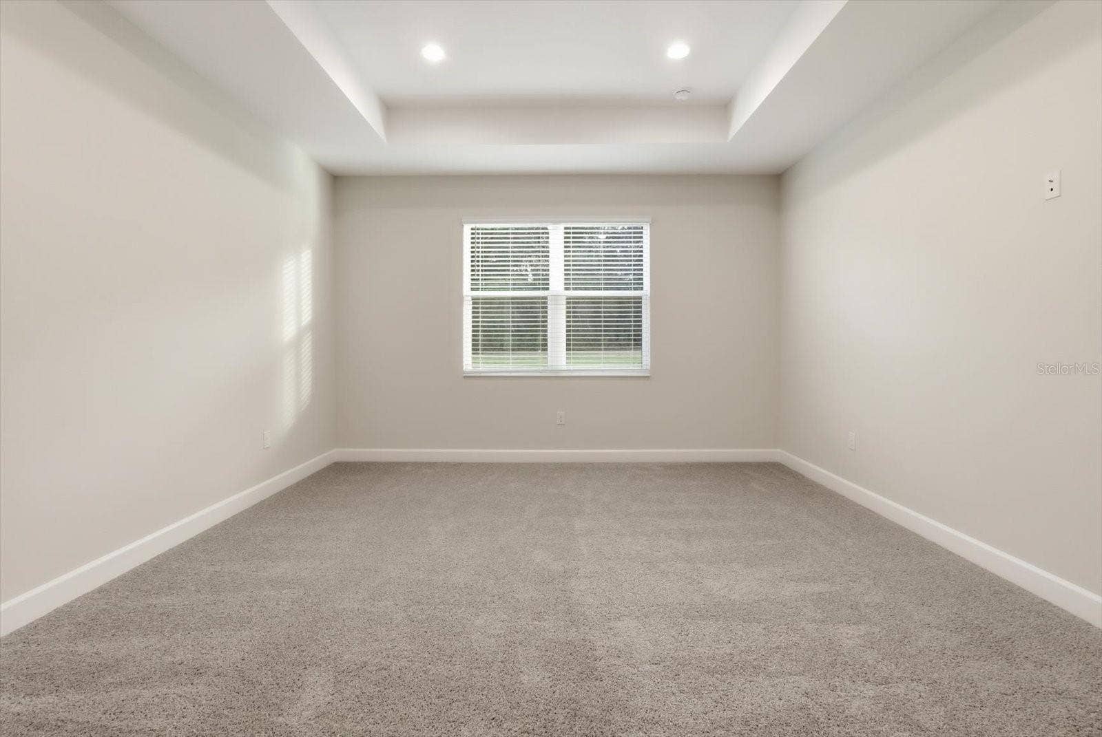 The primary bedroom also features tray ceilings and carpet for added comfort.