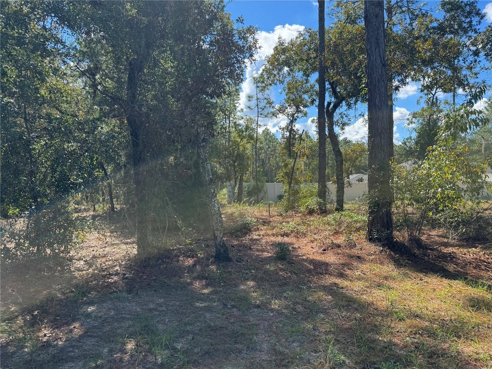 Lot 21 SW 157TH COURT, Ocala, FL 34481 FROM NE CORNER LOOKING TO SE CORNER AT REAR OF LOT 21