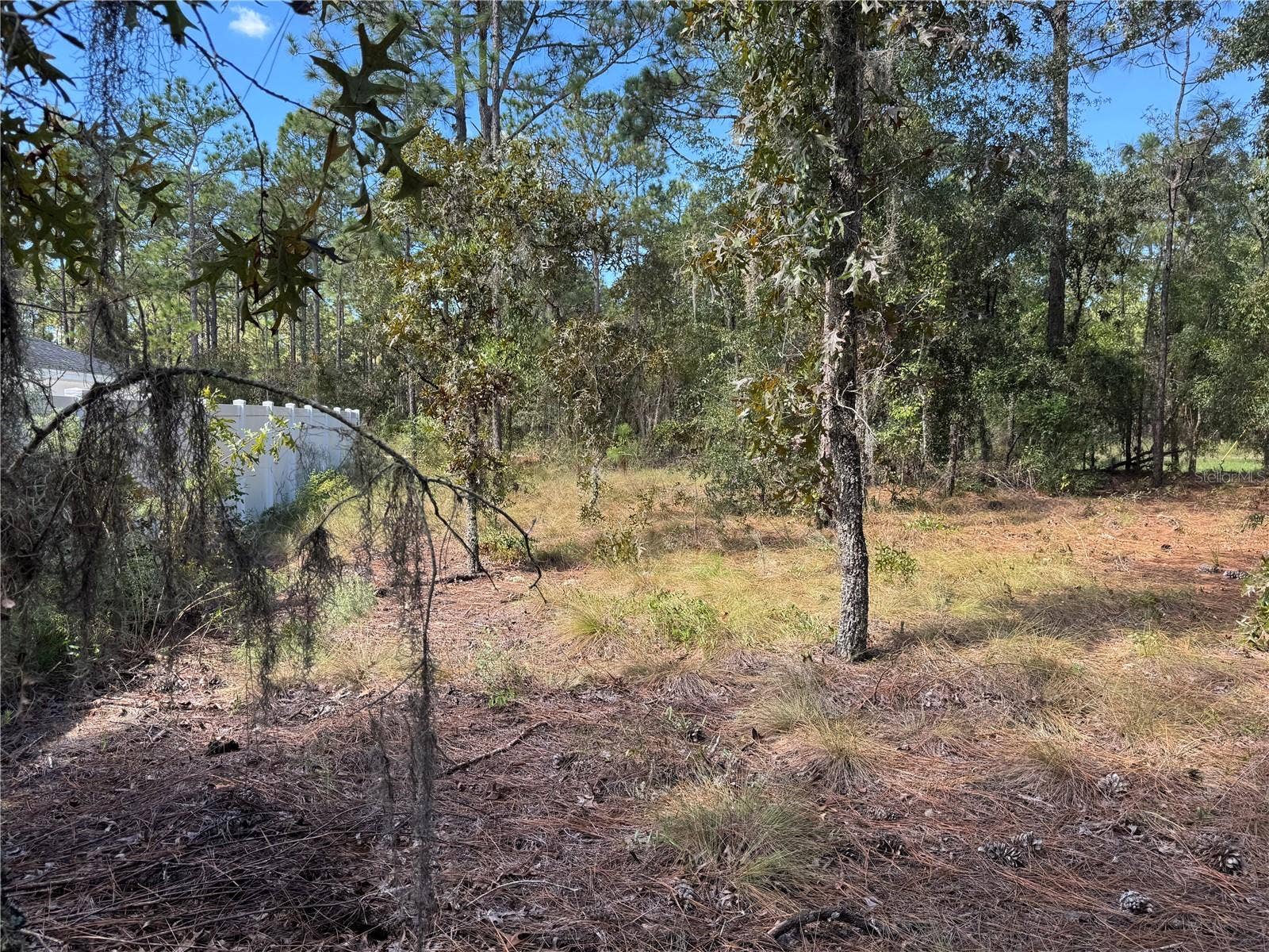 Lot 21 SW 157TH COURT, Ocala, FL 34481 LOT 21 LOOKING FROM NE REAR OF .24 ACRE LOT ALONG THE SOUTHSIDE BOUNDARY TO THE ROAD (WESTSIDE OF LOT (SOUTHSIDE OF LOT), IS NEIGHBORING PROPERTY. TO THE RIGHT IS 2615 SW 15TH CT HOME FOR SALE ALSO. BOTH PROPERTIES CAN BE SOLD TOGETHER OR SEPARATE