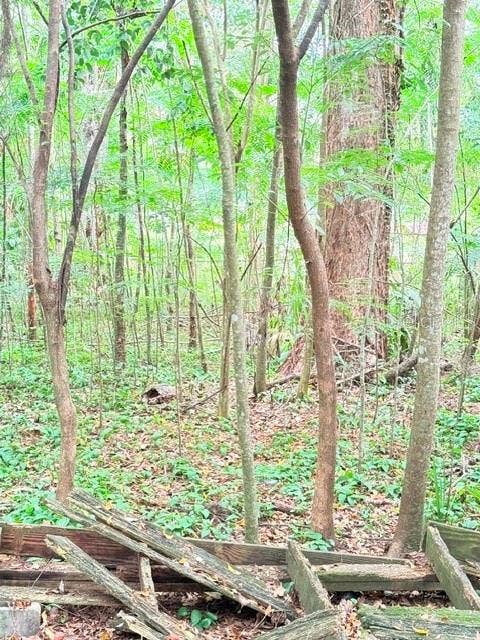 5231 SE 29TH COURT, Ocala, FL 34480