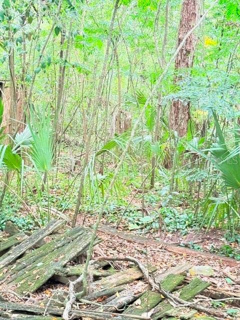 5231 SE 29TH COURT, Ocala, FL 34480