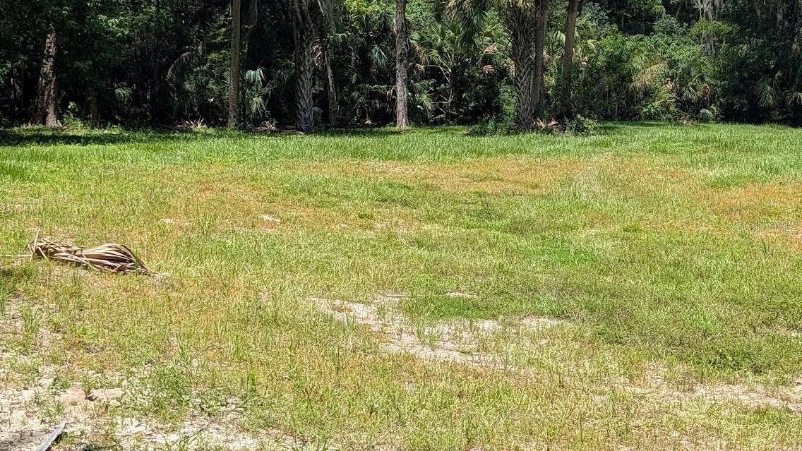 Cleared area ready to build on, trees are on or near west property line.