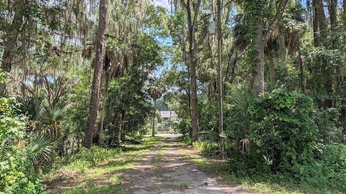 Driveway looking east back at 7 th Ave. Road
