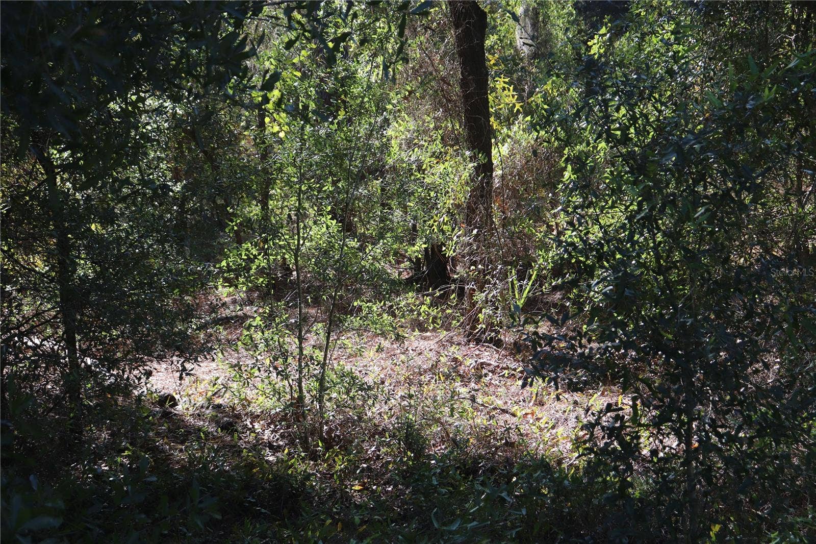 5756 W CONNETQUOT PLACE, Dunnellon, FL 34433 5756 W CONNETQUOT PLACE, Dunnellon, FL 34433