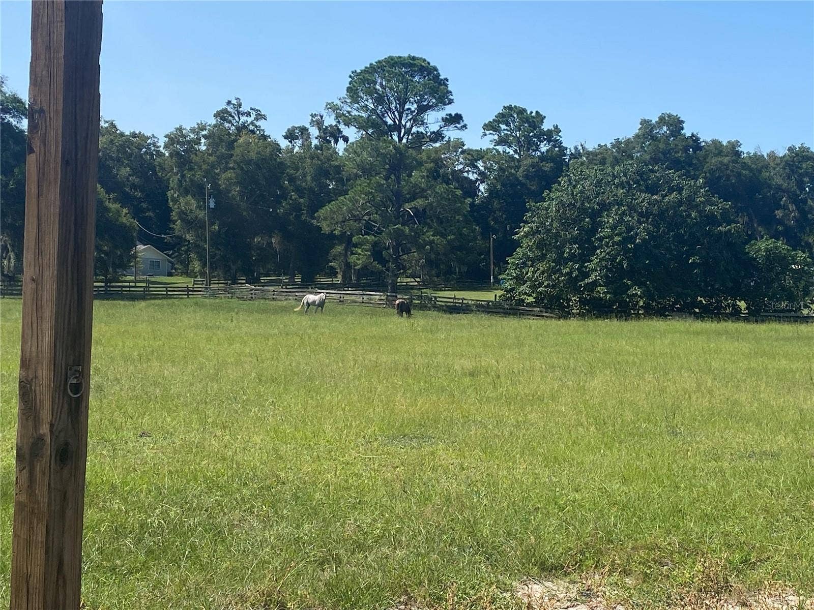 14421 SW 14TH STREET, Ocala, FL 34481 14421 SW 14TH STREET, Ocala, FL 34481