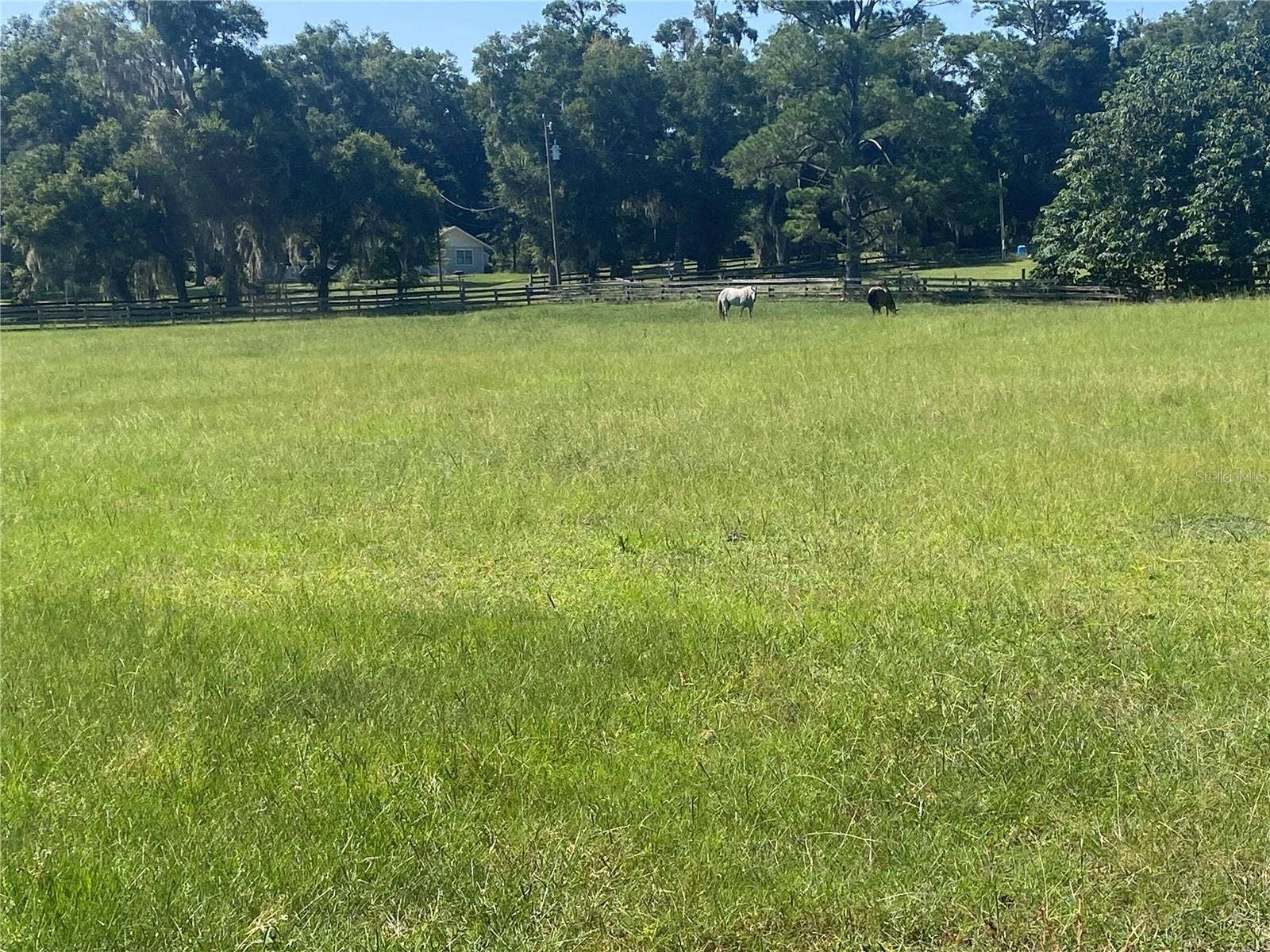 14421 SW 14TH STREET, Ocala, FL 34481 14421 SW 14TH STREET, Ocala, FL 34481