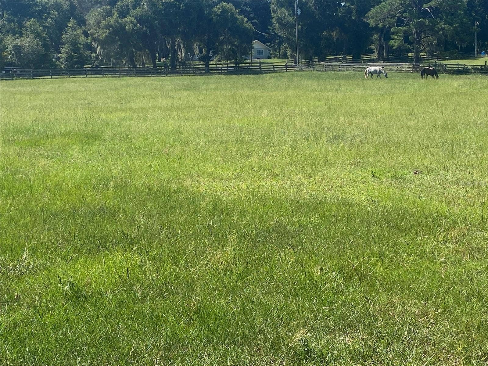 14421 SW 14TH STREET, Ocala, FL 34481 14421 SW 14TH STREET, Ocala, FL 34481