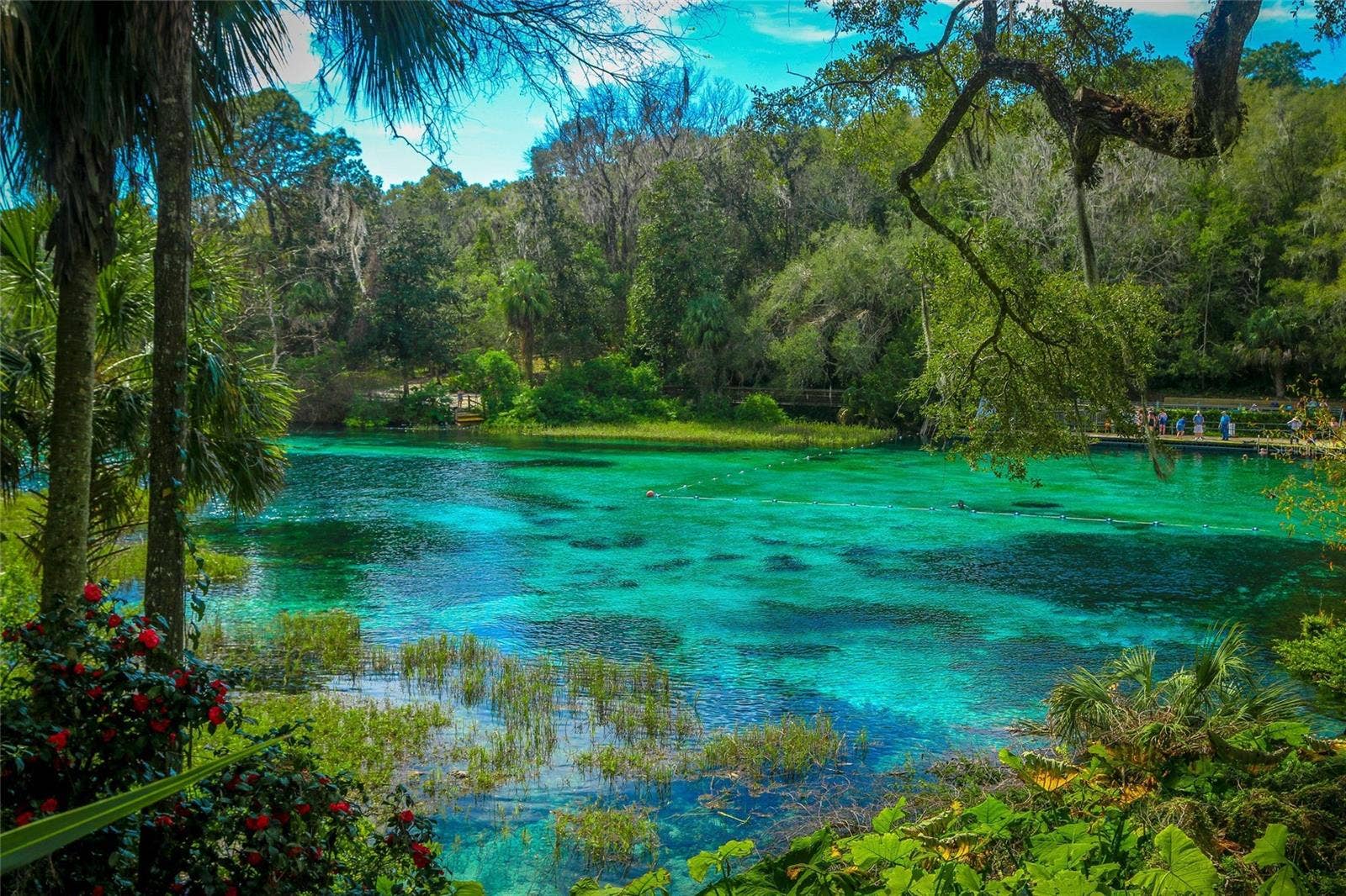 2204 W RILEY DRIVE, Citrus Springs, FL 34434 Rainbow state Park