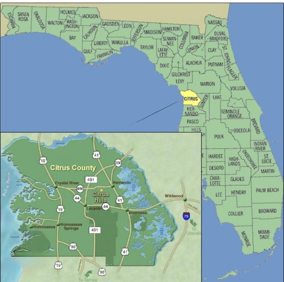 2204 W RILEY DRIVE, Citrus Springs, FL 34434 2204 W RILEY DRIVE, Citrus Springs, FL 34434