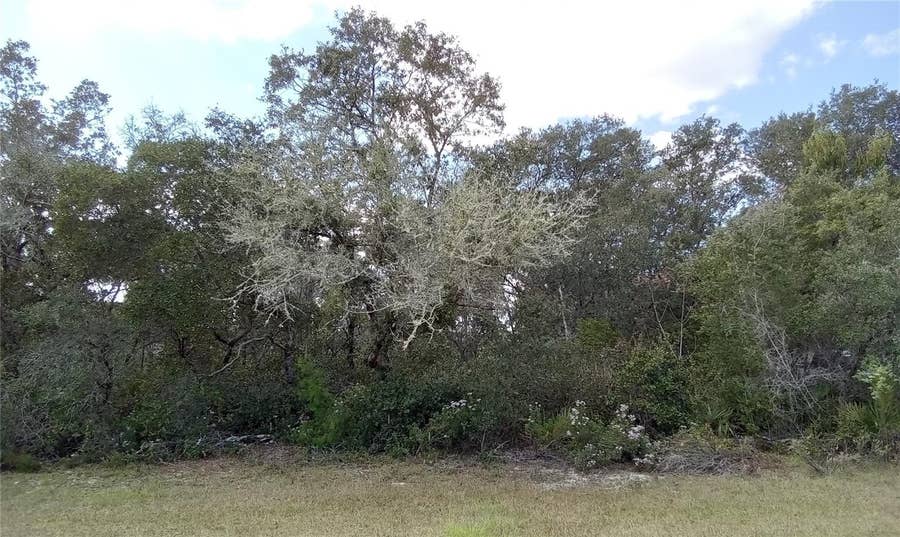 Property photo for SW 24TH CIRCLE, Ocala, FL