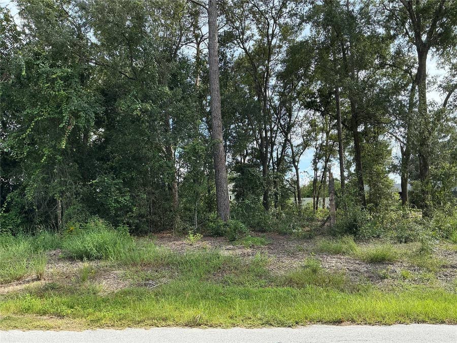 Property photo for SE 159TH PLACE, Summerfield, FL