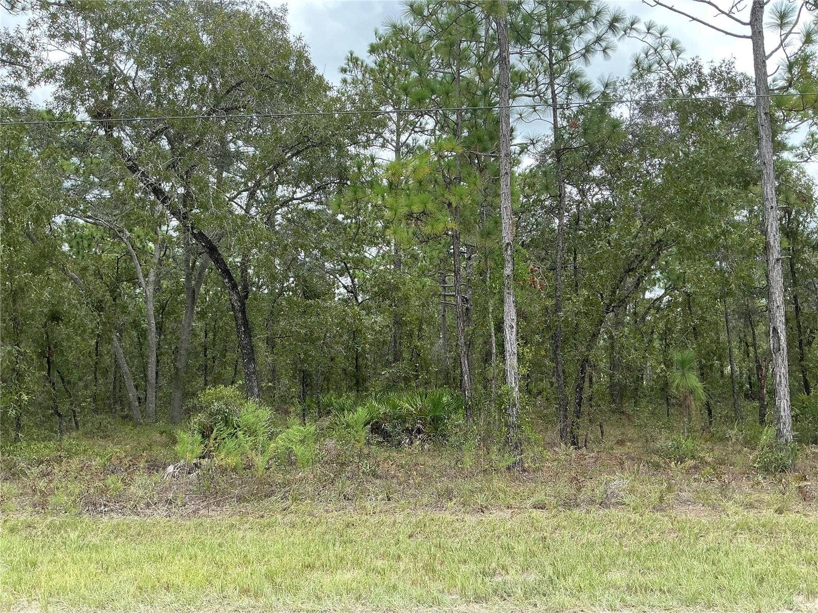 16118 MARSH QUAIL ROAD, Weeki Wachee, FL 34614 16118 MARSH QUAIL ROAD, Weeki Wachee, FL 34614
