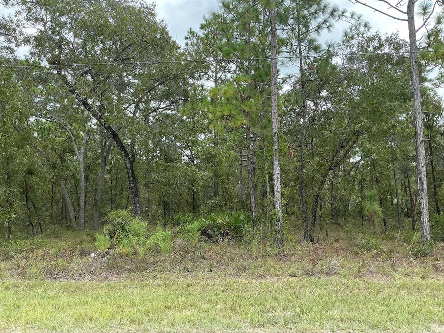 Property photo for 16118 MARSH QUAIL ROAD, Weeki Wachee, FL