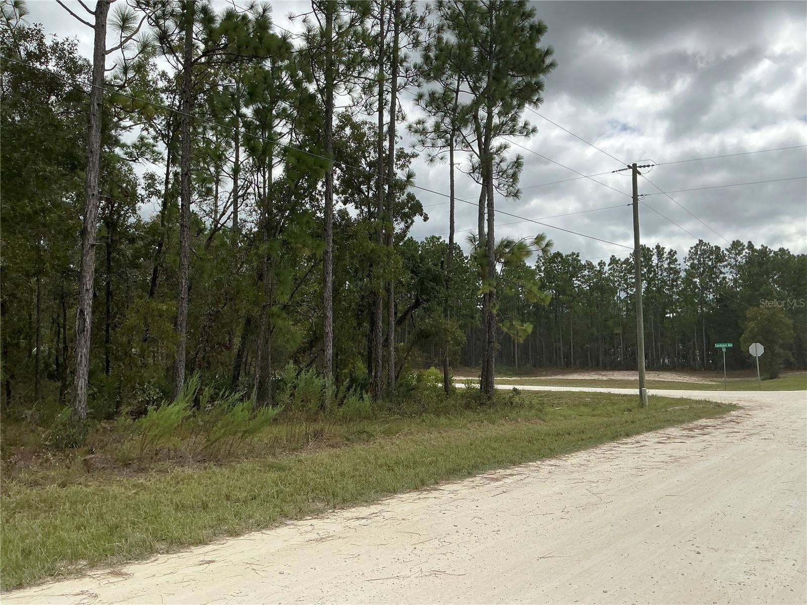 16118 MARSH QUAIL ROAD, Weeki Wachee, FL 34614 16118 MARSH QUAIL ROAD, Weeki Wachee, FL 34614