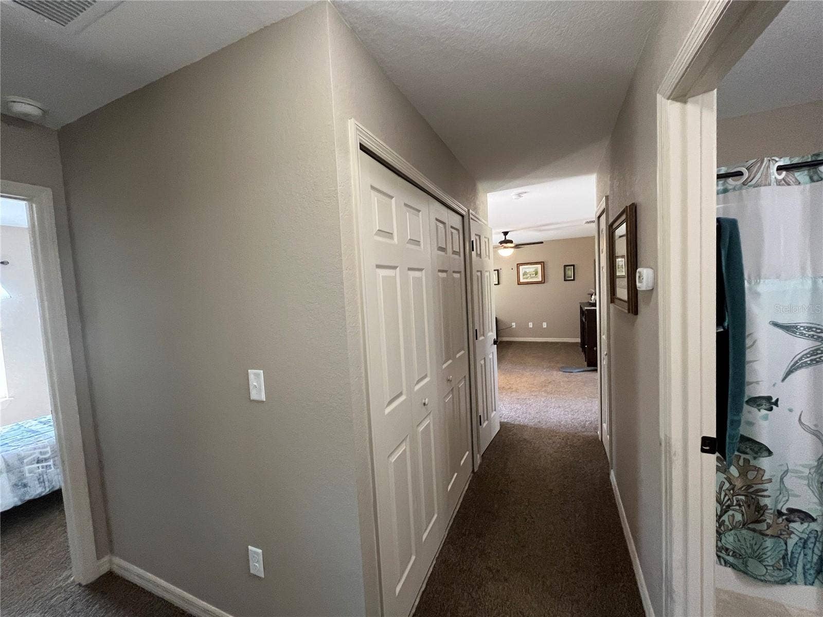 115 MALAUKA RADIAL, Ocklawaha, FL 32179 Main Hallway