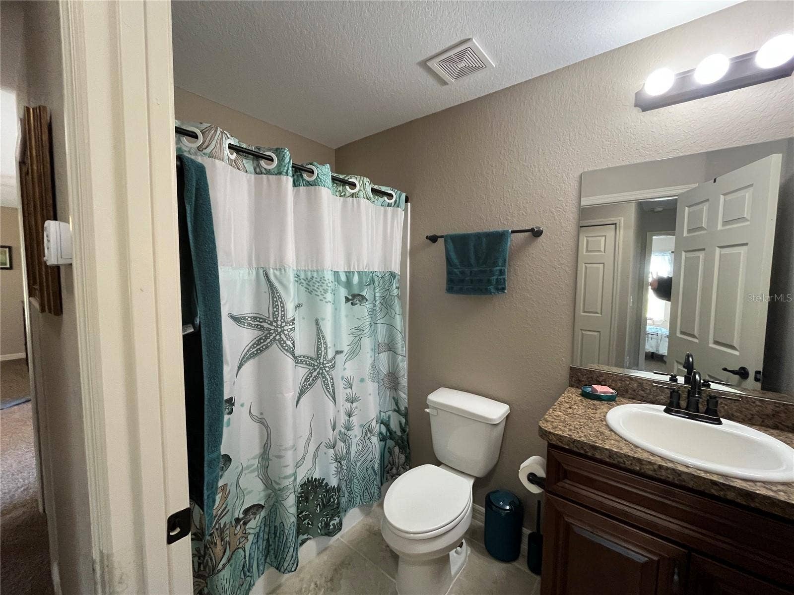 115 MALAUKA RADIAL, Ocklawaha, FL 32179 Guest Bathroom