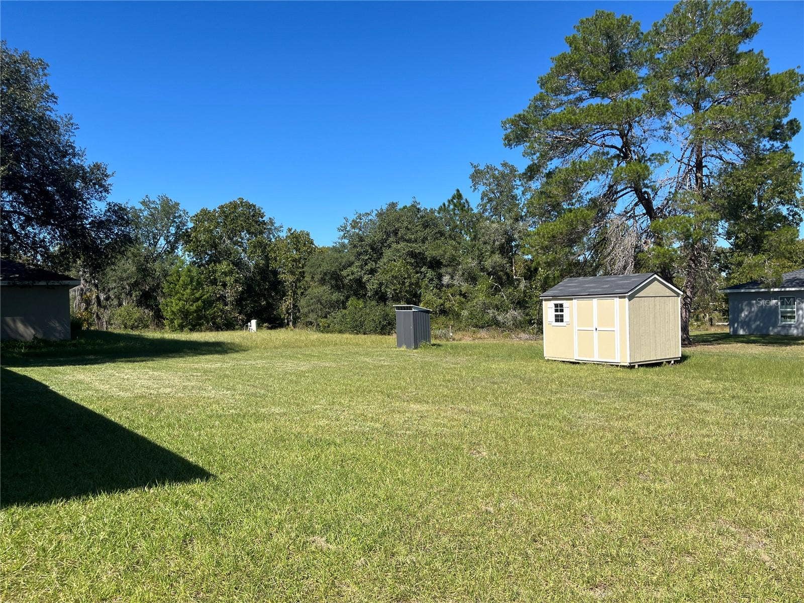 115 MALAUKA RADIAL, Ocklawaha, FL 32179 Backyard