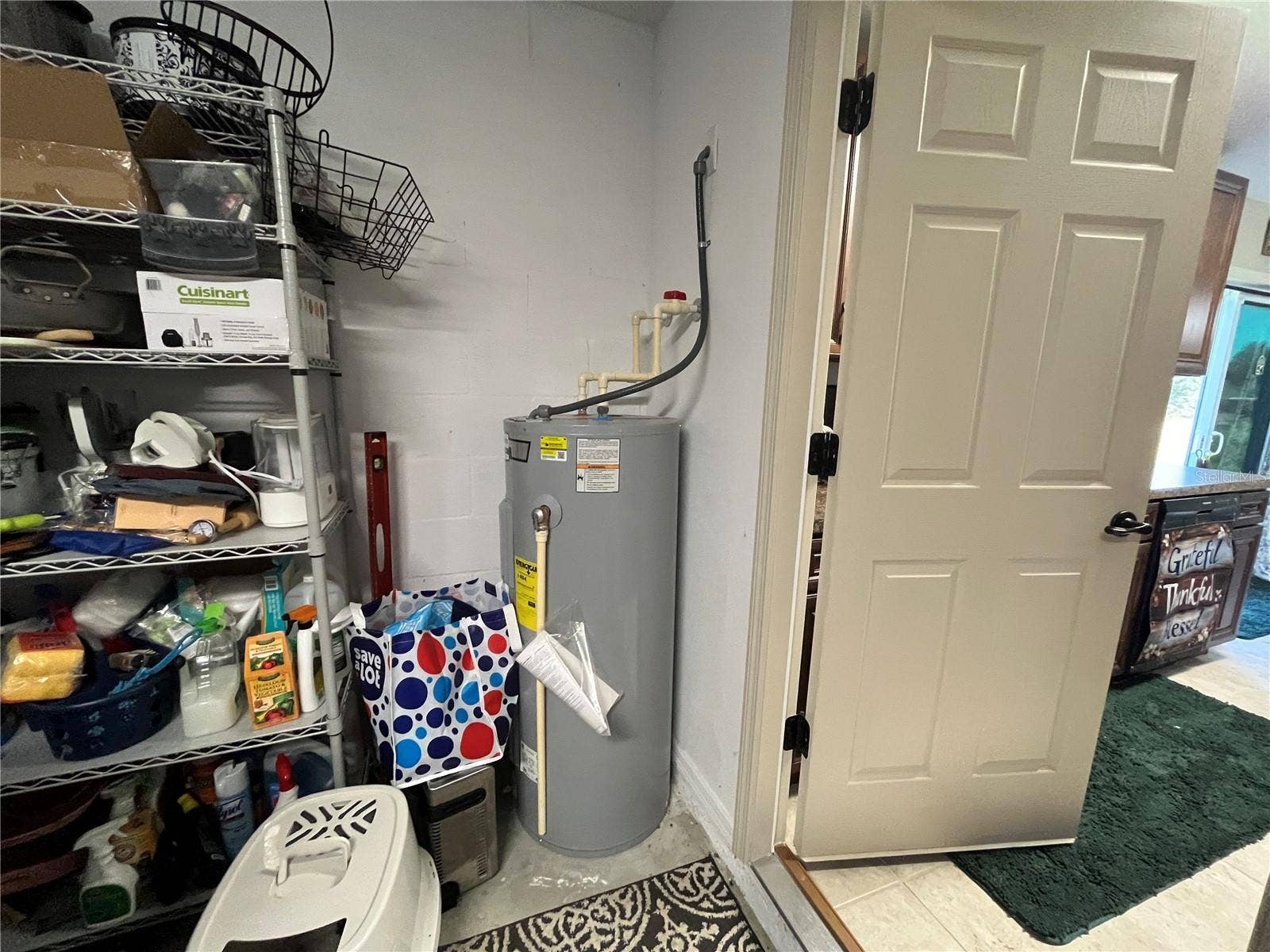 115 MALAUKA RADIAL, Ocklawaha, FL 32179 Garage, Water Heater
