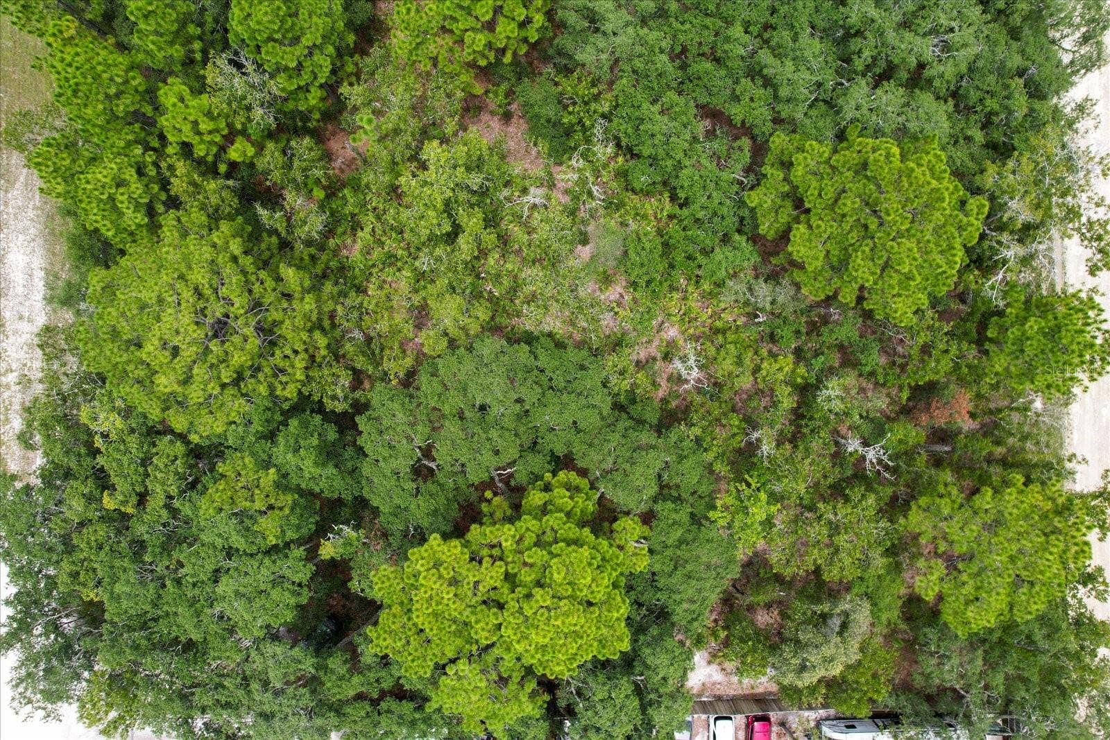 17192 NICASIO JAY AVENUE, Brooksville, FL 34614