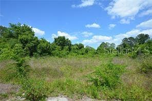 39 LOCUST PLACE, Ocala, FL 34472 39 LOCUST PLACE, Ocala, FL 34472