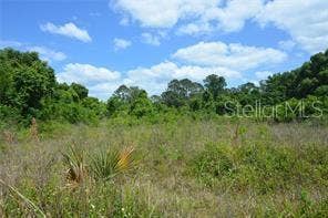 39 LOCUST PLACE, Ocala, FL 34472 39 LOCUST PLACE, Ocala, FL 34472