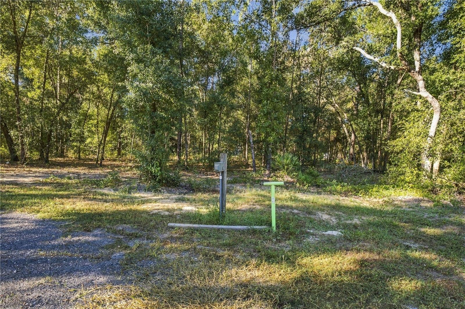 9921 SE 160TH AVENUE, Ocklawaha, FL 32179 RV HOOKUP
