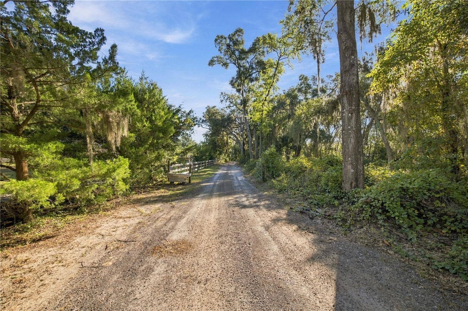 9921 SE 160TH AVENUE, Ocklawaha, FL 32179 DRIVEWAY