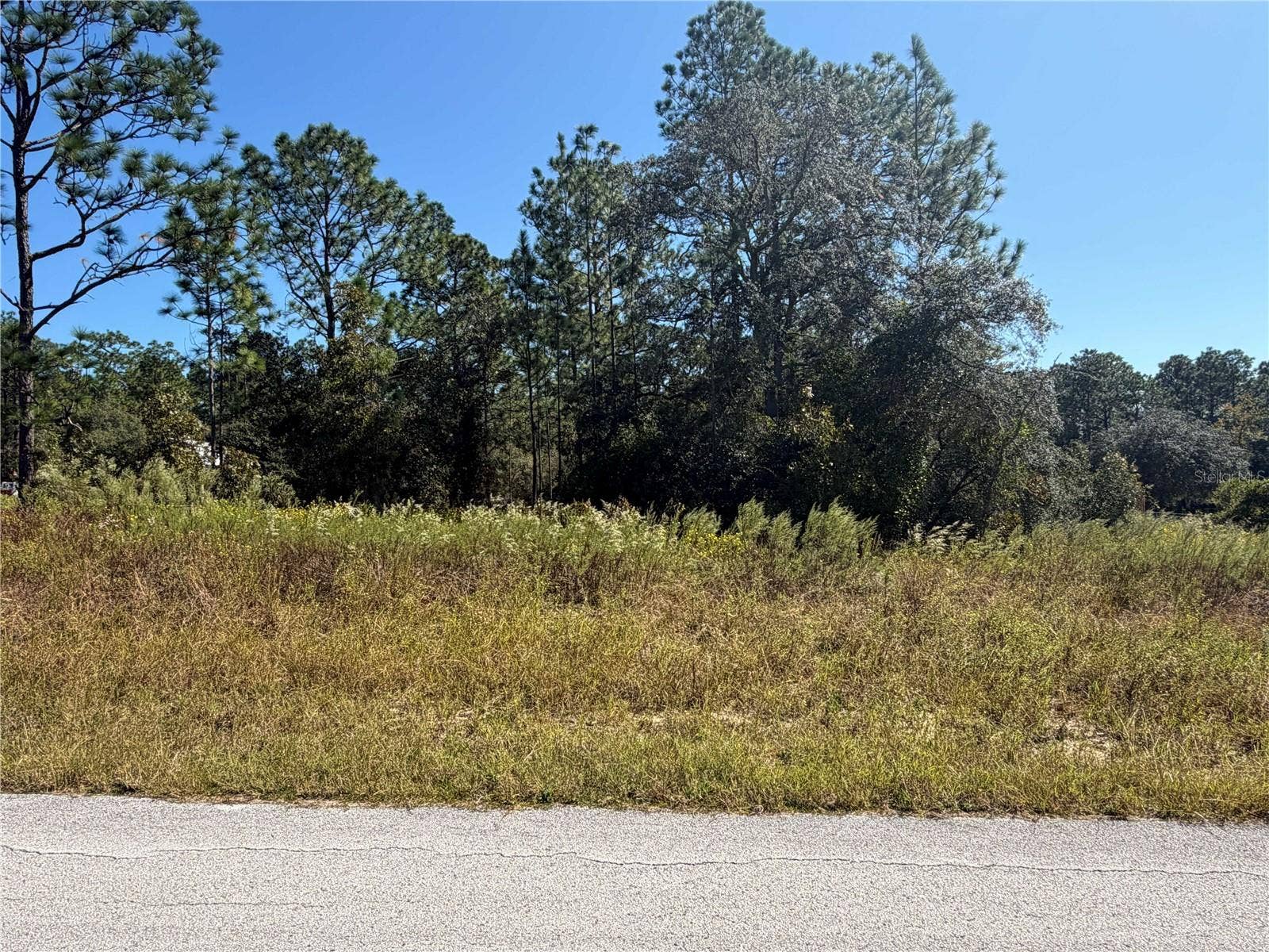 Lot 42 SW AZALEA COURT, Dunnellon, FL 34431 Lot 42 SW AZALEA COURT, Dunnellon, FL 34431