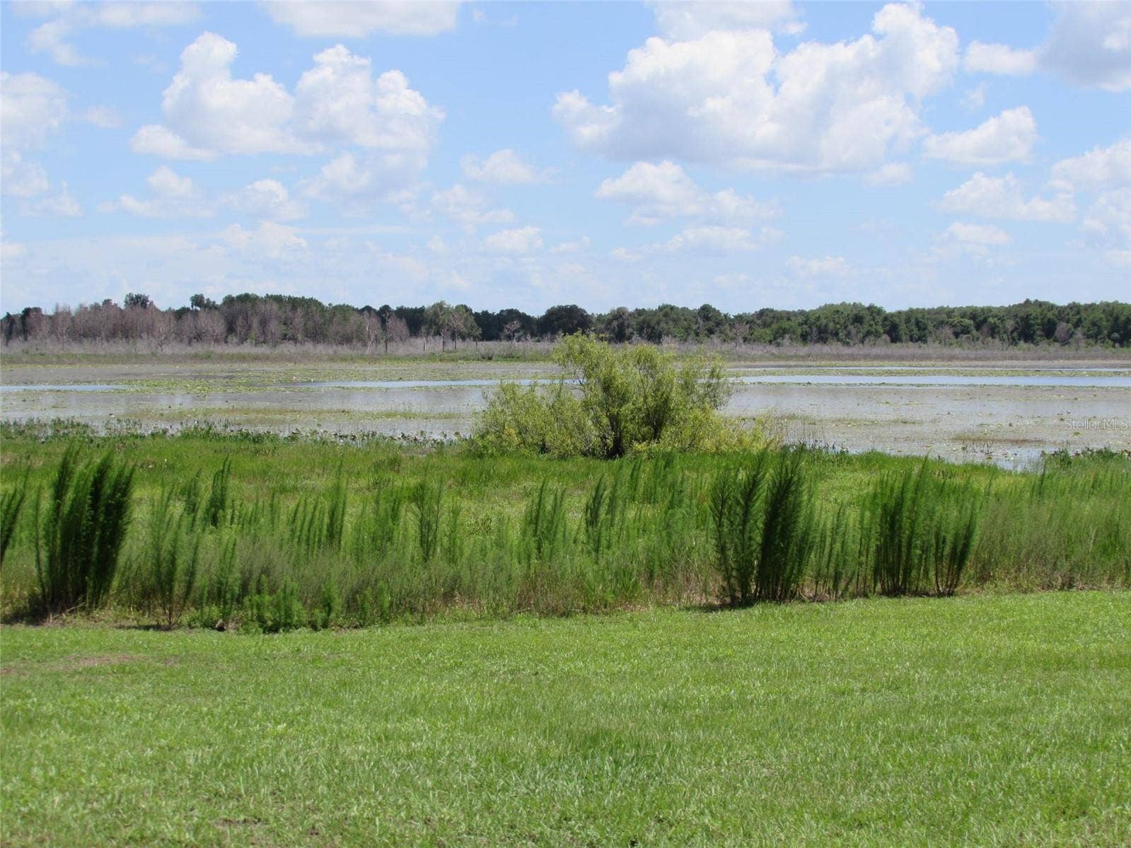 Lot 42 SW AZALEA COURT, Dunnellon, FL 34431 Lot 42 SW AZALEA COURT, Dunnellon, FL 34431