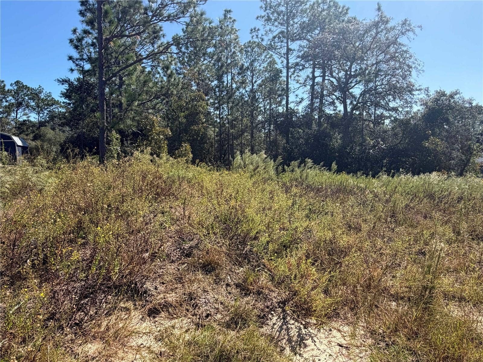 Lot 42 SW AZALEA COURT, Dunnellon, FL 34431 Lot 42 SW AZALEA COURT, Dunnellon, FL 34431