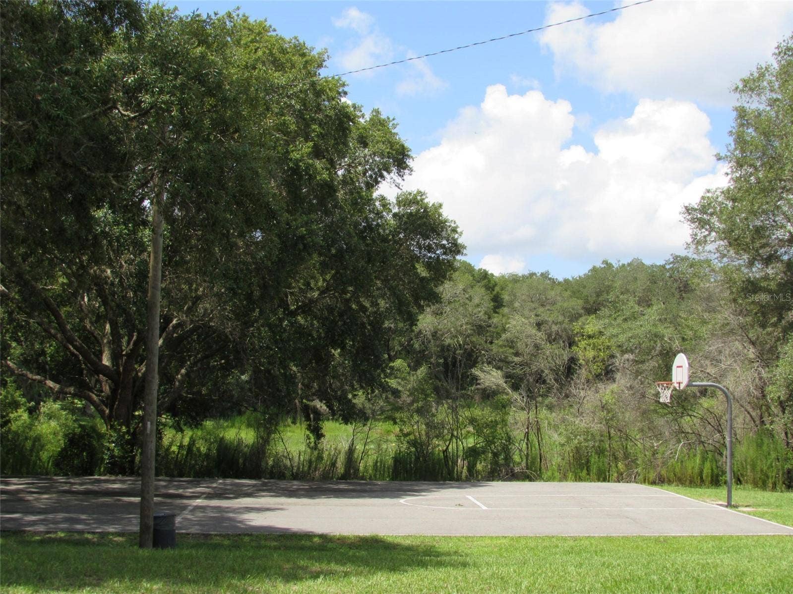 Lot 42 SW AZALEA COURT, Dunnellon, FL 34431 Lot 42 SW AZALEA COURT, Dunnellon, FL 34431