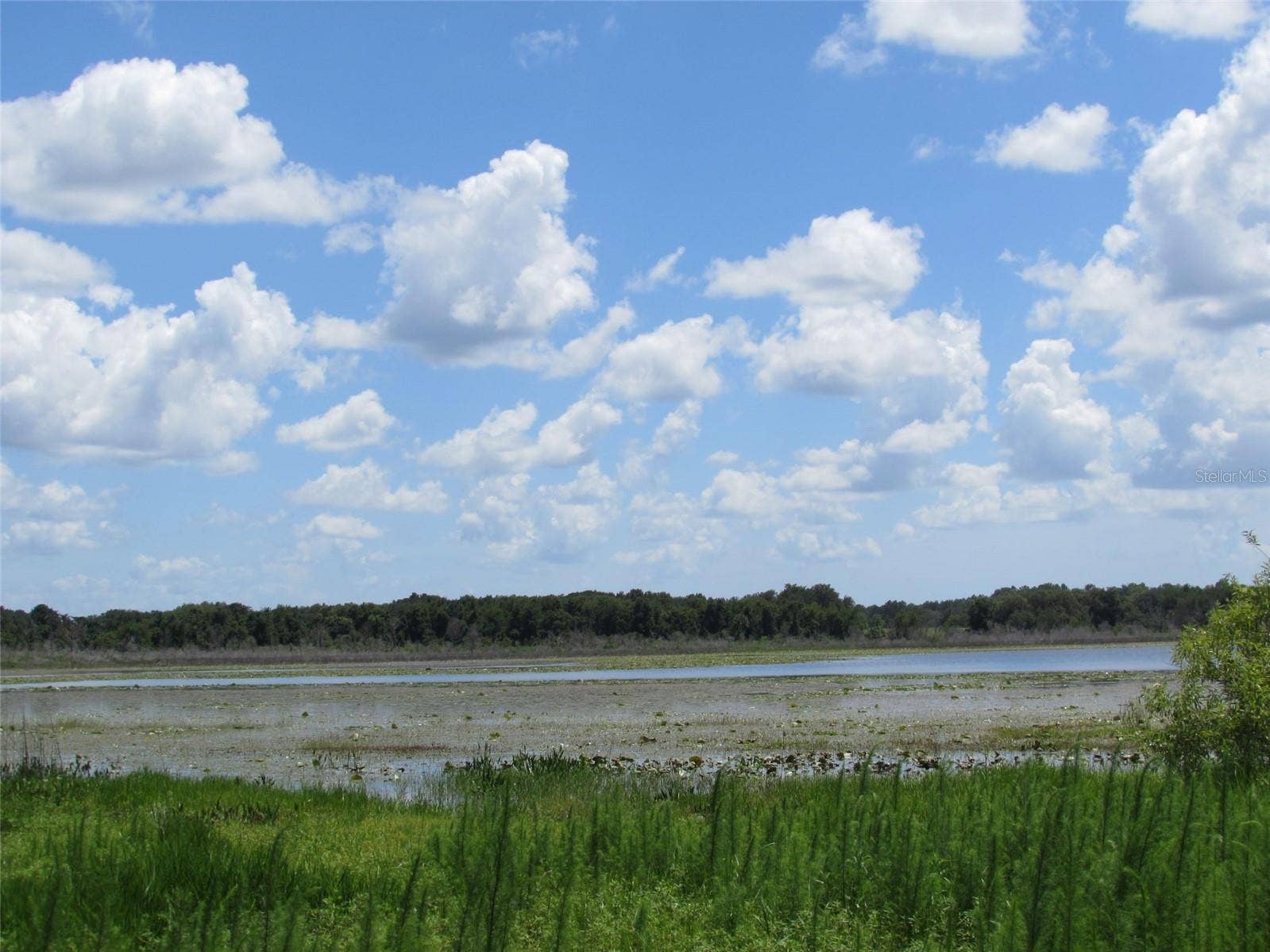 Lot 42 SW AZALEA COURT, Dunnellon, FL 34431 Lot 42 SW AZALEA COURT, Dunnellon, FL 34431