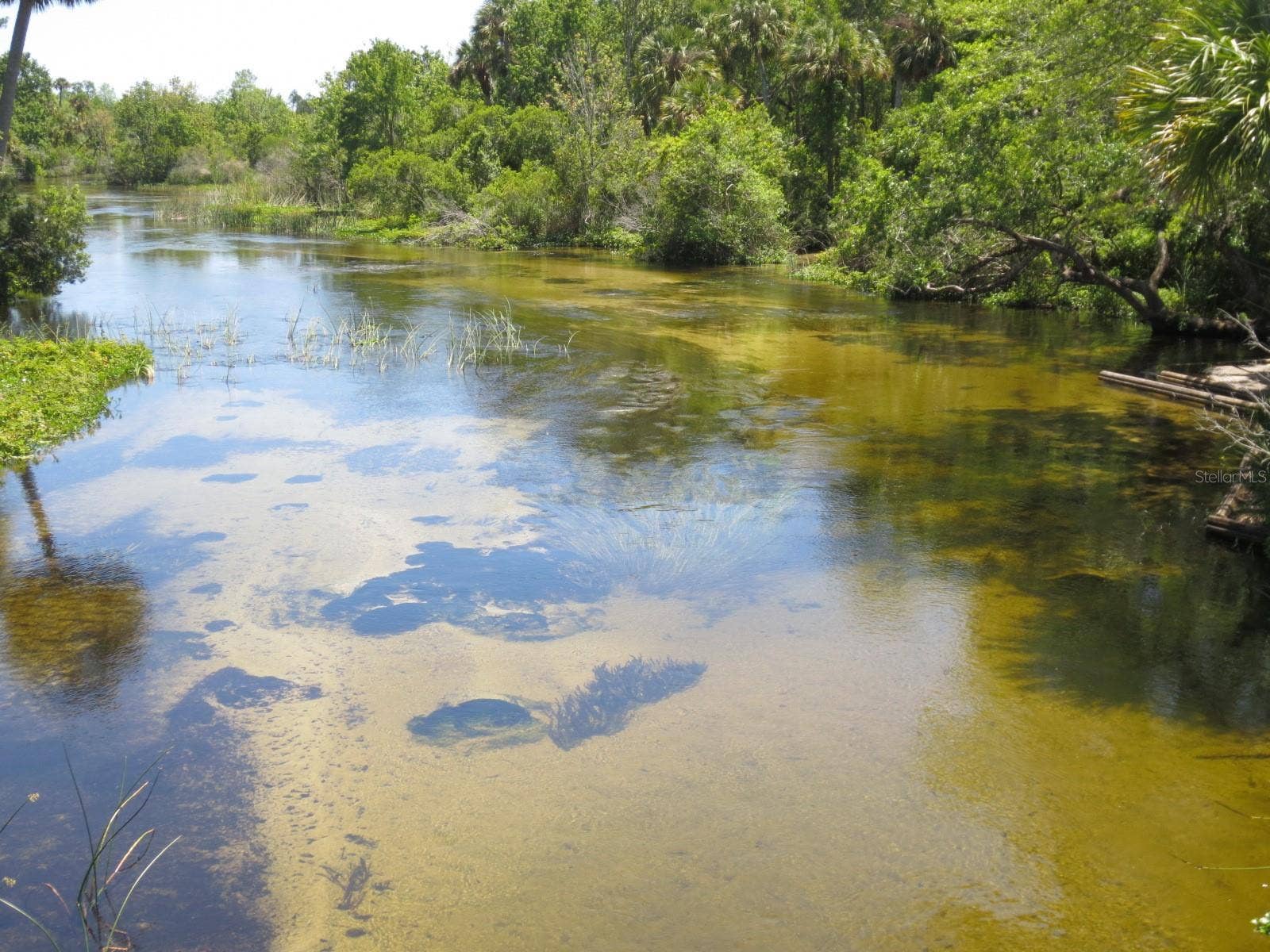 SE 164TH AVENUE, Silver Springs, FL 34488