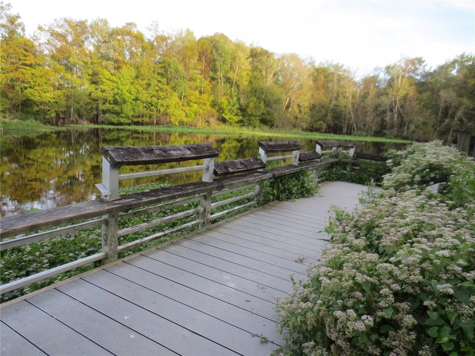 SE 164TH AVENUE, Silver Springs, FL 34488