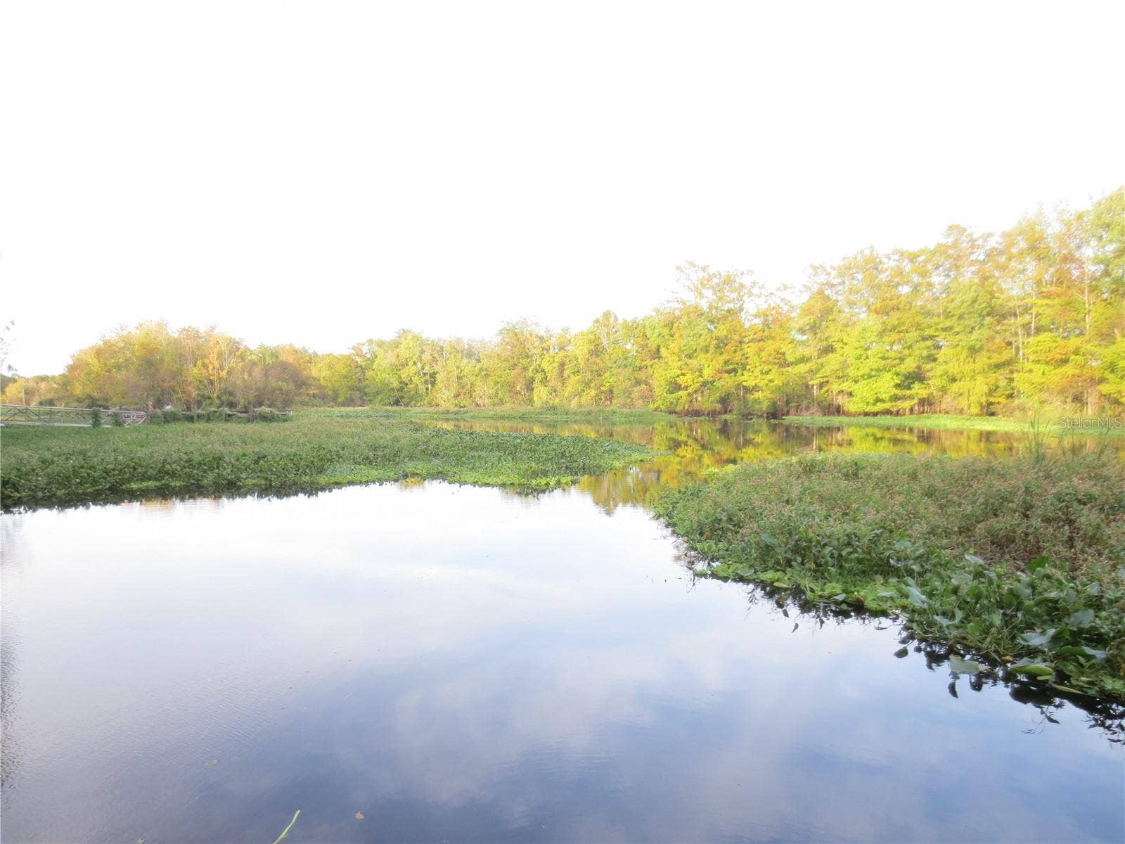 SE 164TH AVENUE, Silver Springs, FL 34488