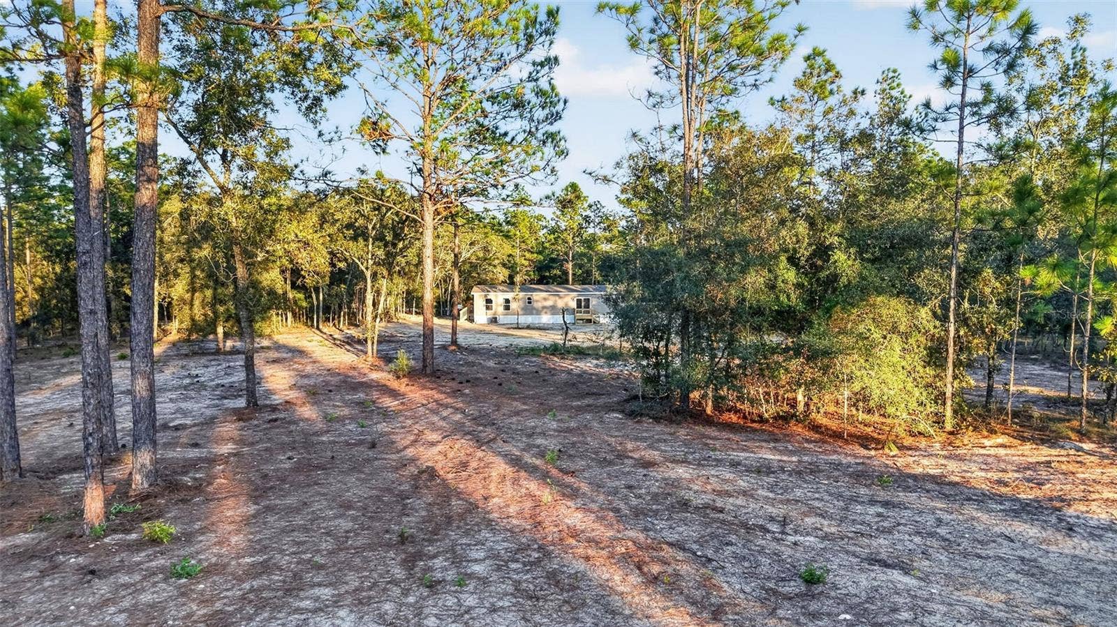 170 NE 138TH AVENUE, Williston, FL 32696