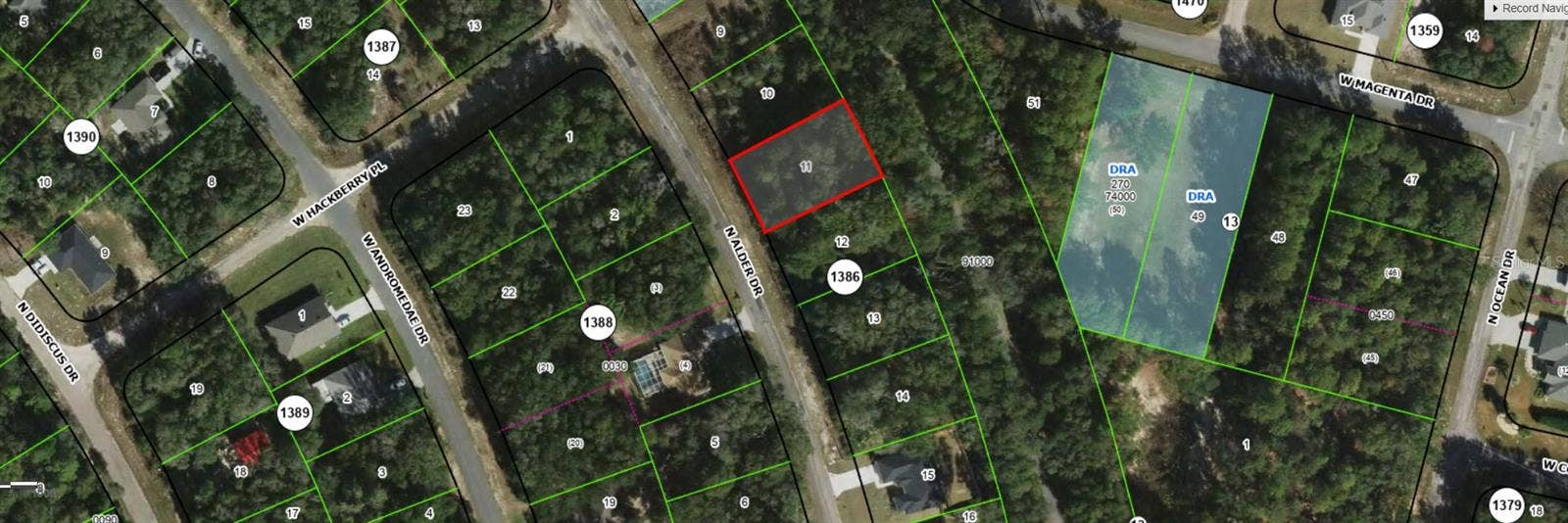 10735 N ADLER DRIVE, Citrus Springs, FL 34434 10735 N ADLER DRIVE, Citrus Springs, FL 34434